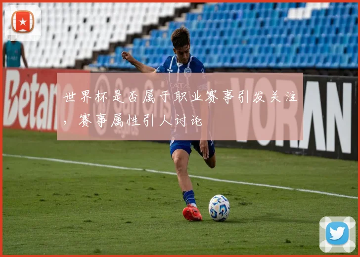 世界杯是否属于职业赛事引发关注，赛事属性引人讨论